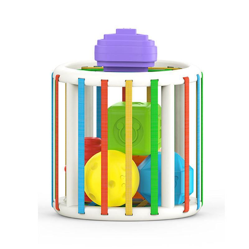 Blocos de Classificação Montessori: Brinquedo Educativo Colorido para Aprendizagem do bebê